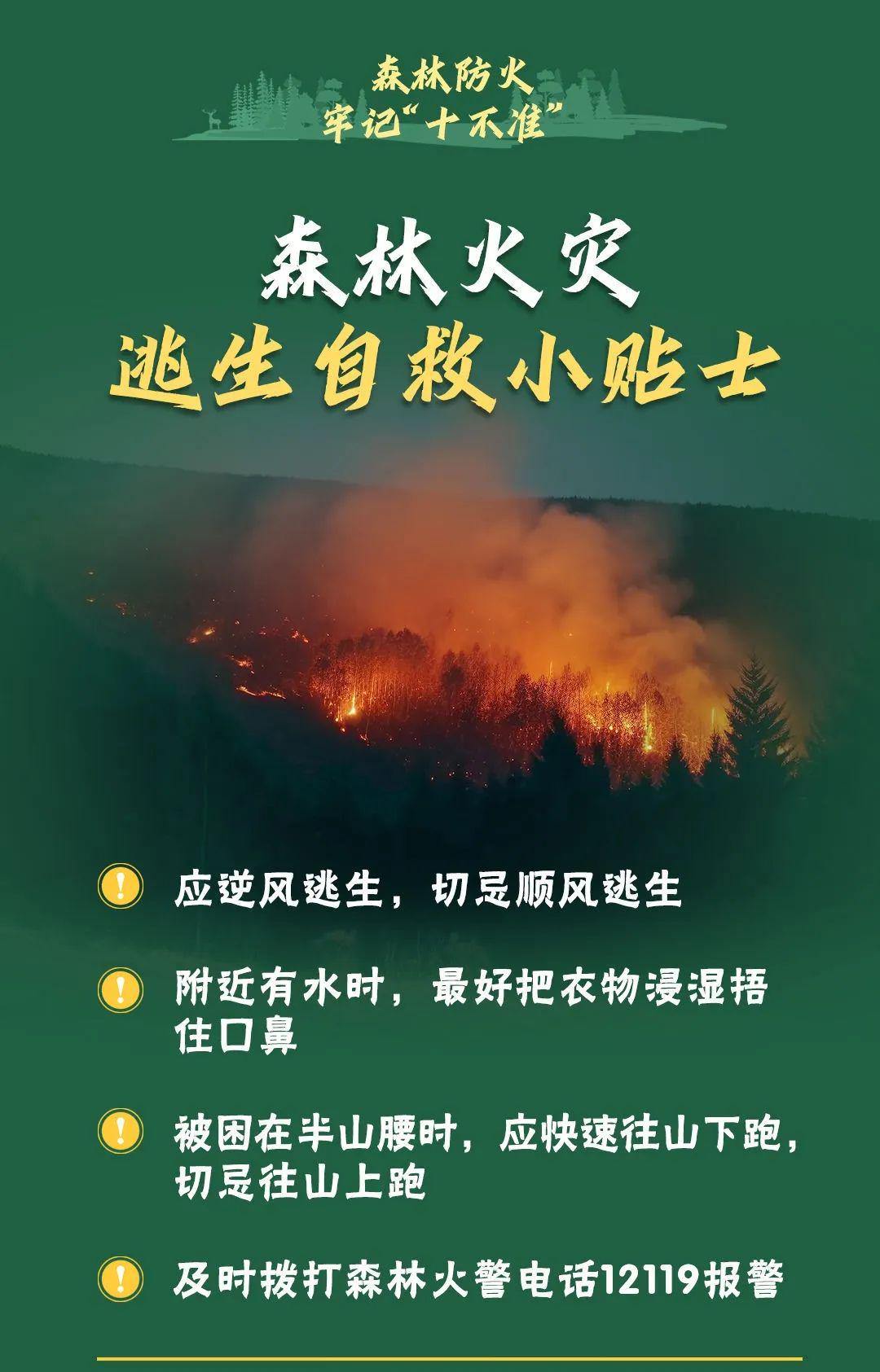 山火連發(fā)，原因公布！多地拉響紅色預(yù)警→