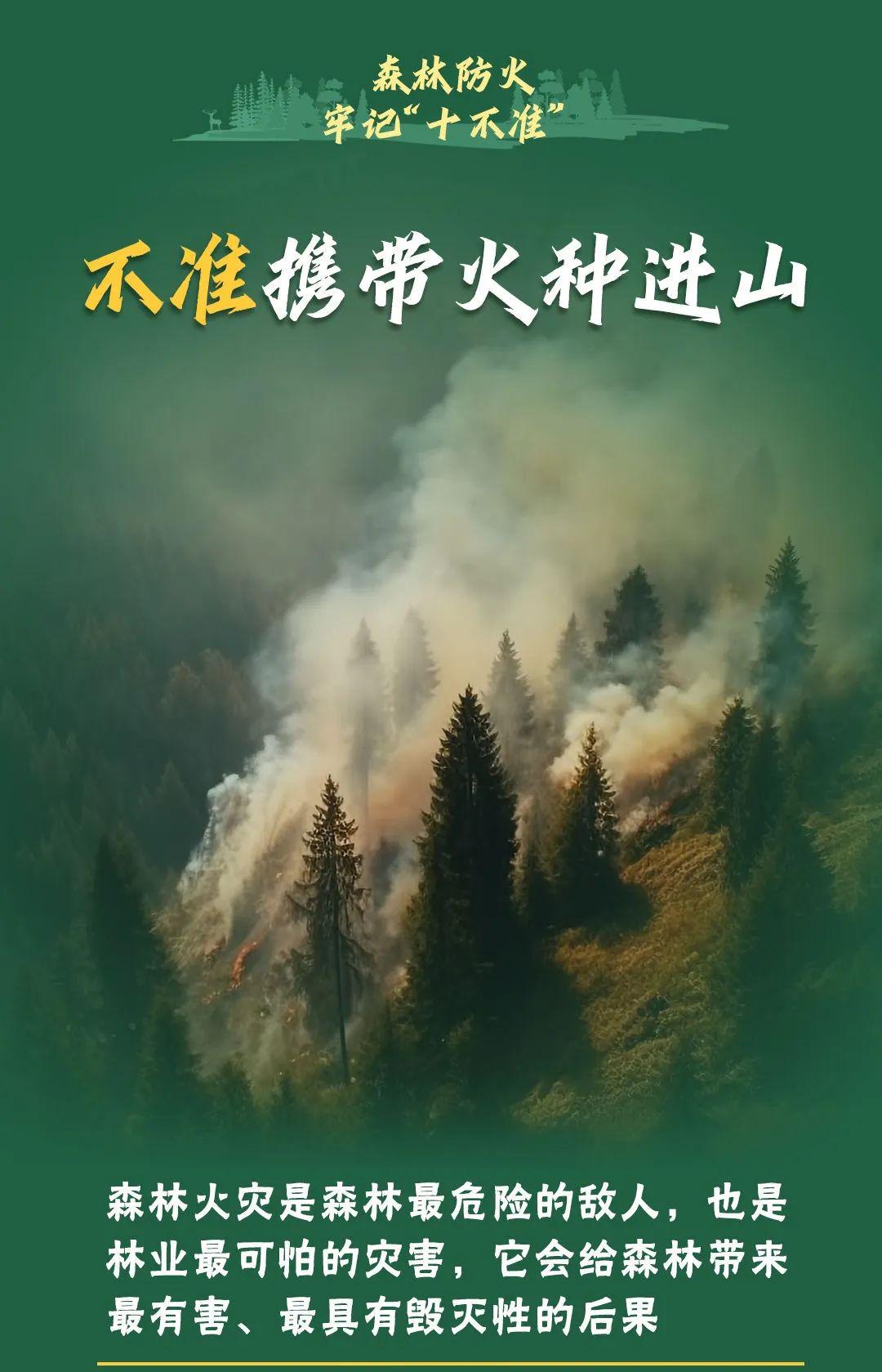 山火連發(fā)，原因公布！多地拉響紅色預(yù)警→