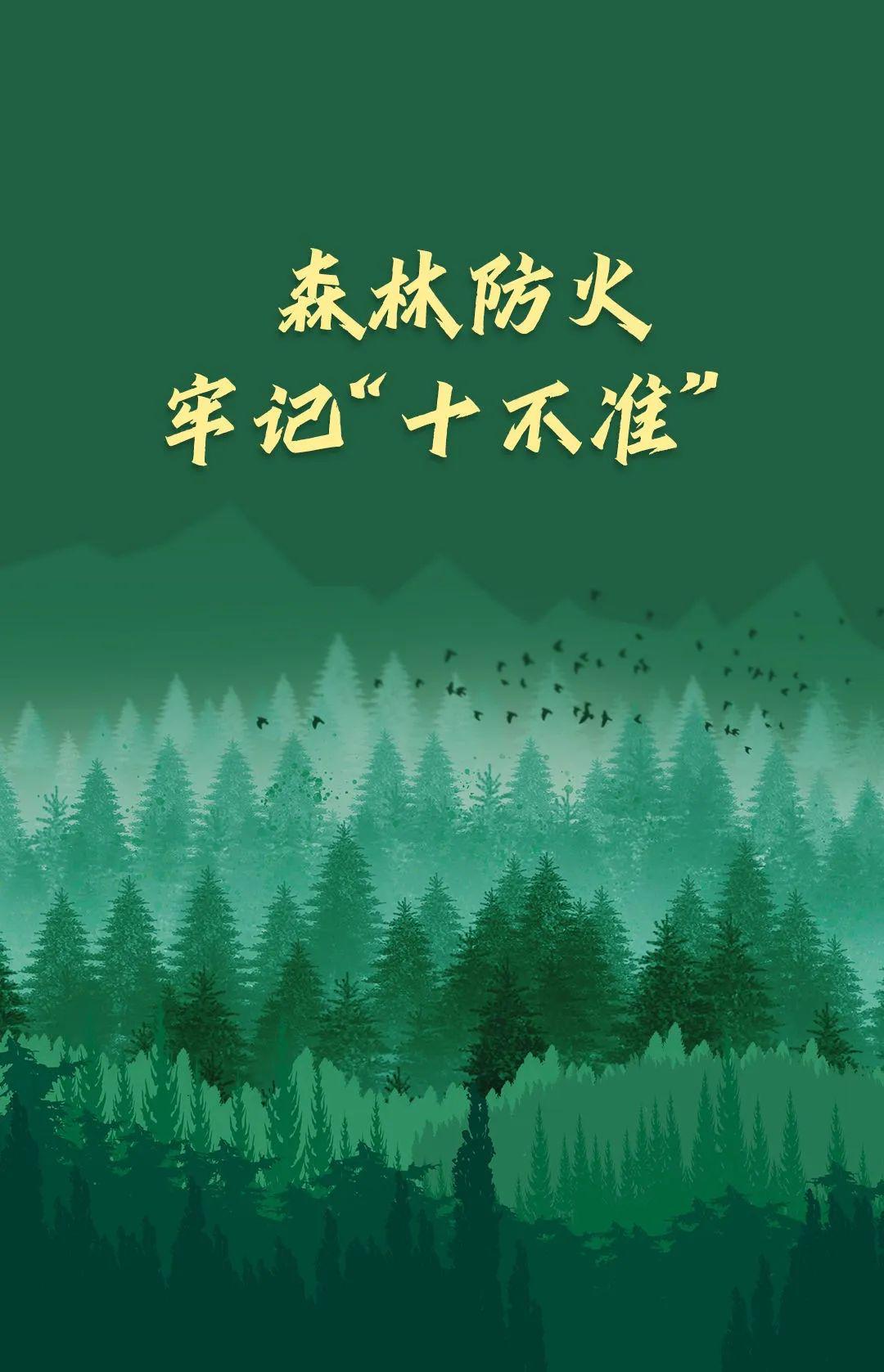 山火連發(fā)，原因公布！多地拉響紅色預(yù)警→