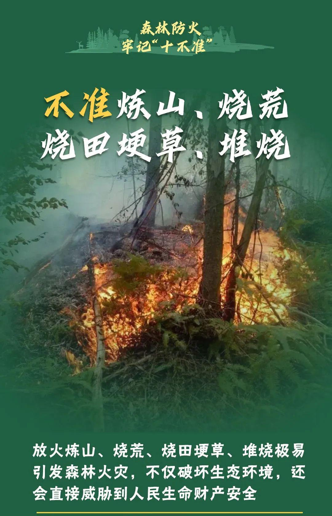 山火連發(fā)，原因公布！多地拉響紅色預(yù)警→