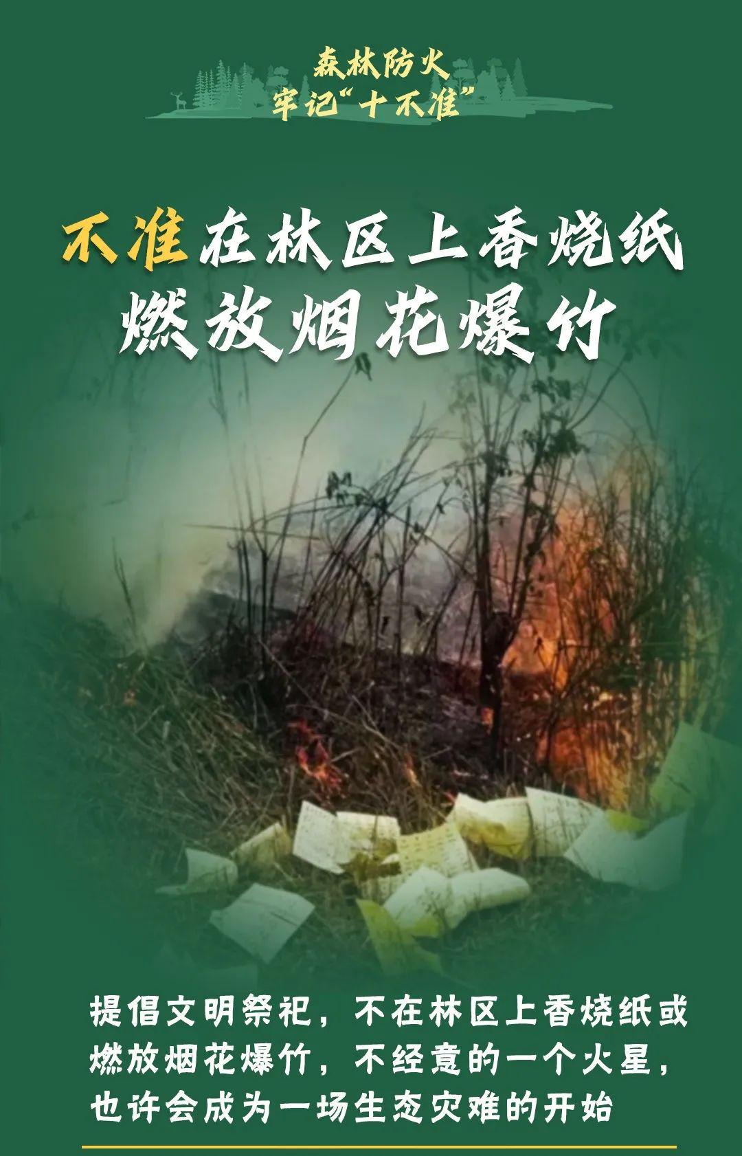 山火連發(fā)，原因公布！多地拉響紅色預(yù)警→