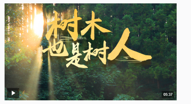 近觀“兩山” | 樹木，也是樹人