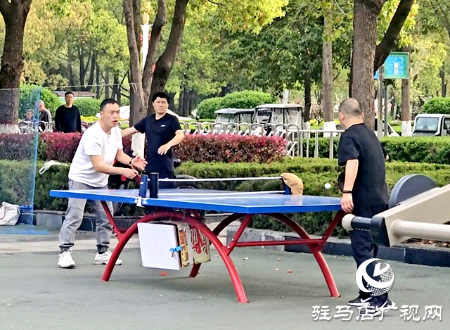 暖意襲人！駐馬店本周氣溫沖擊30℃