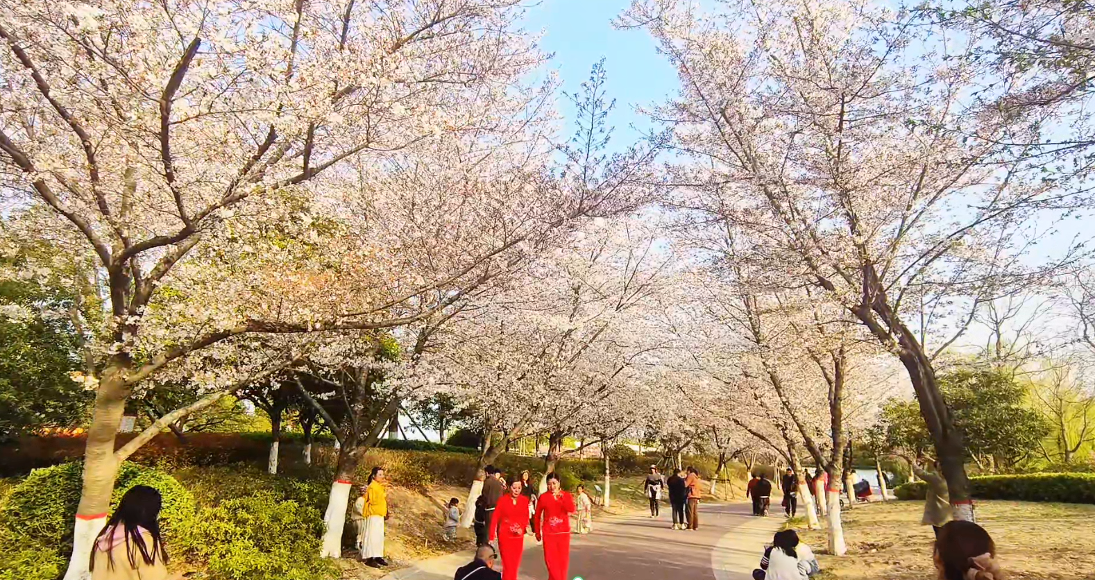 【城市旅游年票】讓你隨時(shí)隨地開(kāi)啟精彩旅程！