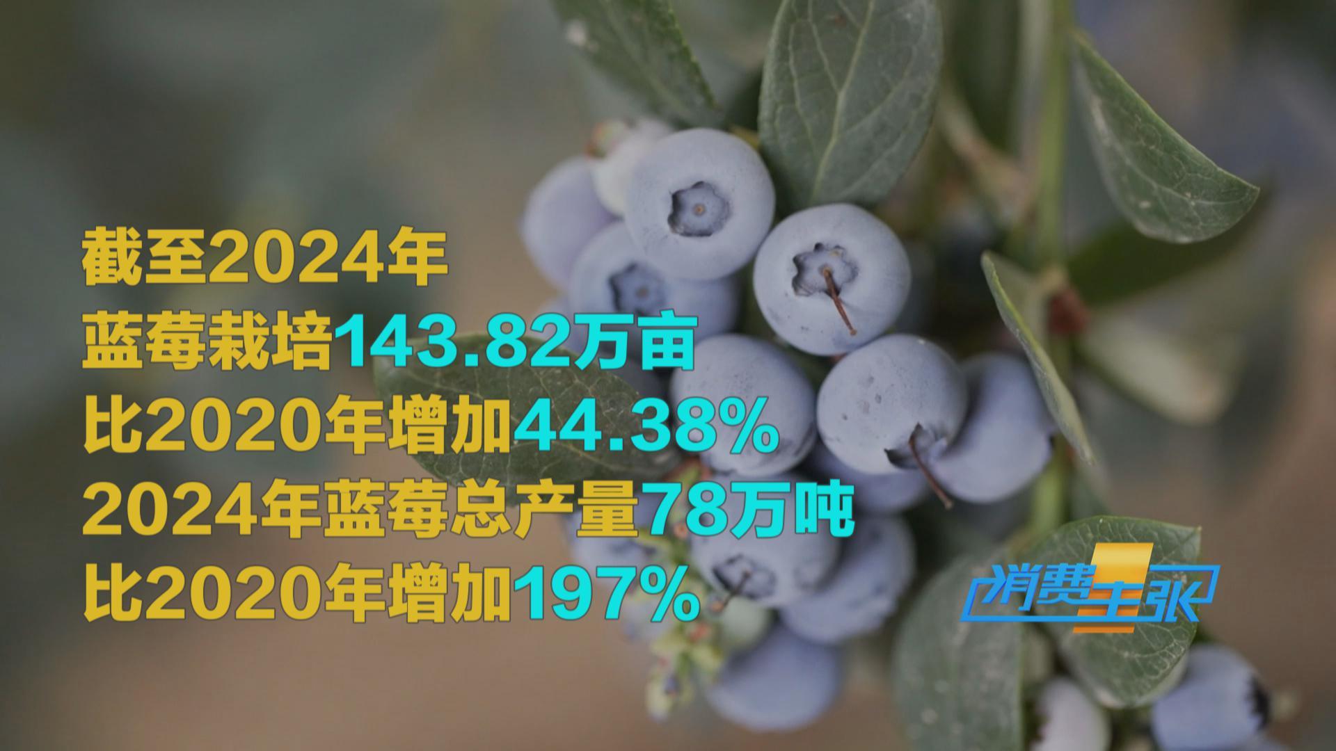 榴蓮價(jià)格走低 首批國(guó)產(chǎn)“樹上熟”榴蓮也將上市！口感如何？
