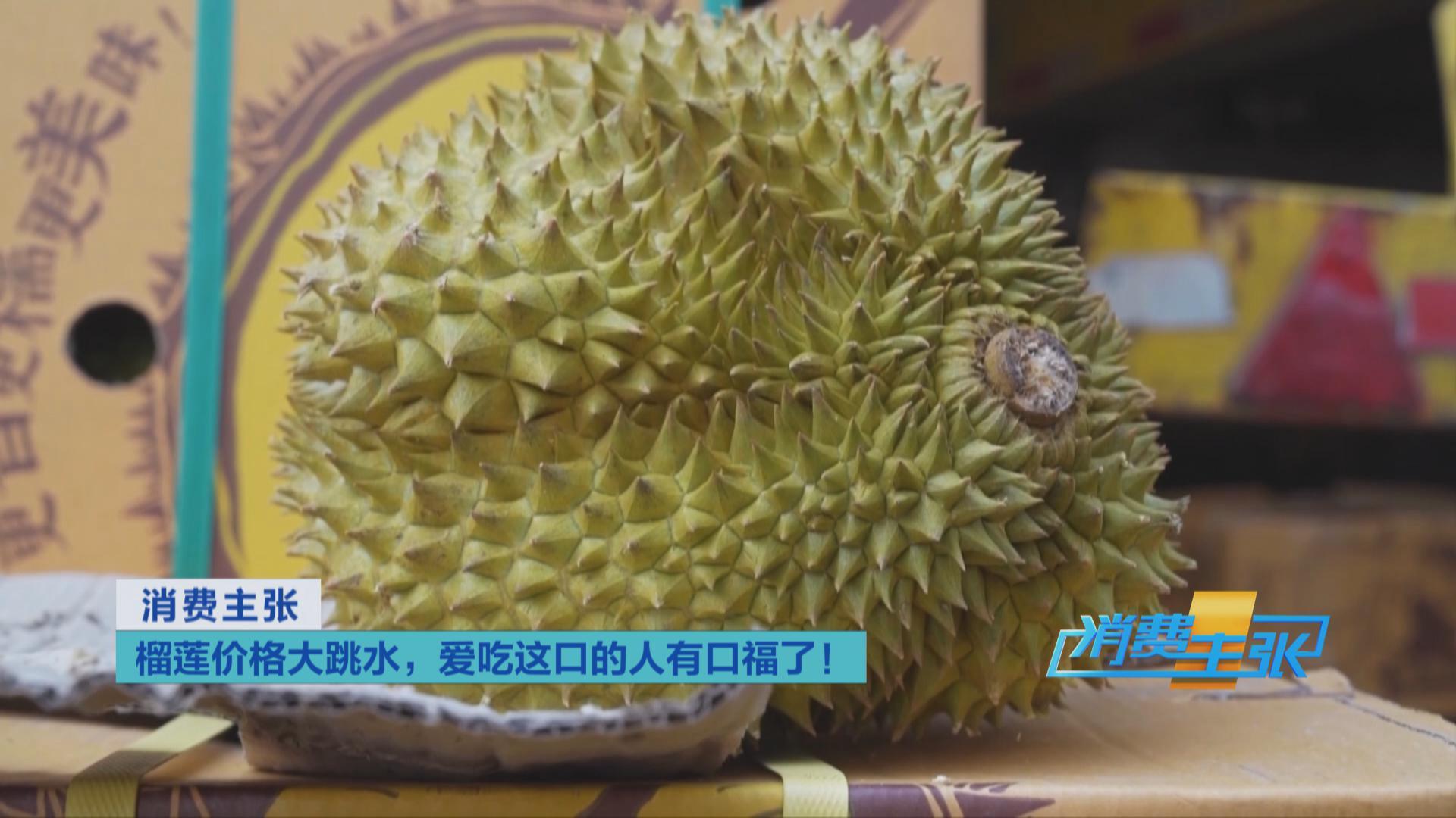榴蓮價(jià)格走低 首批國(guó)產(chǎn)“樹上熟”榴蓮也將上市！口感如何？