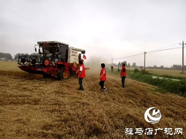 平輿縣廟灣鎮(zhèn)：“三夏”時節(jié)飄蕩“志愿紅”