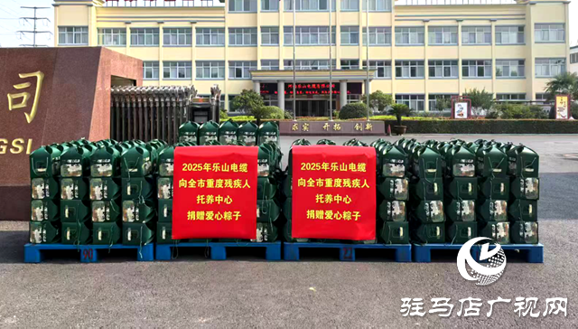 河南樂(lè)山電纜端午送溫情  愛(ài)心粽暖駐馬店殘障群體
