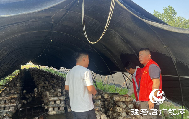 泌陽(yáng)縣：科技服務(wù)到田間 特色產(chǎn)業(yè)促發(fā)展