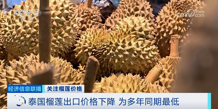 降！降！降！榴蓮多年來最低價的背后是這些原因→