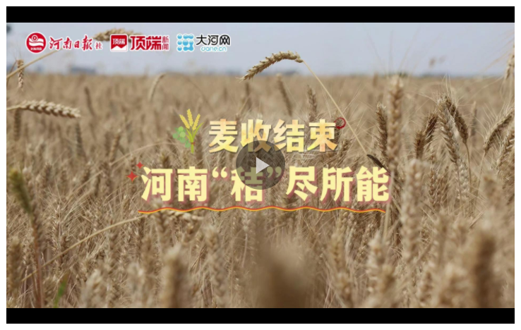 河南麥?zhǔn)战Y(jié)束，如何“秸”盡所能？