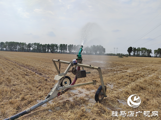 西平縣嫘祖鎮(zhèn)蘭衣趙村：抗旱造墑夏種忙 智慧灌溉護糧安