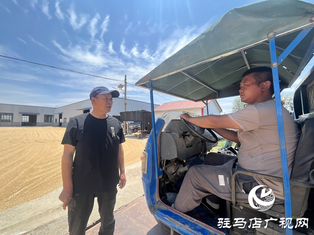 上蔡縣耕夫種植專業(yè)合作社：科技助力夏糧收購 顆粒歸倉助農增收