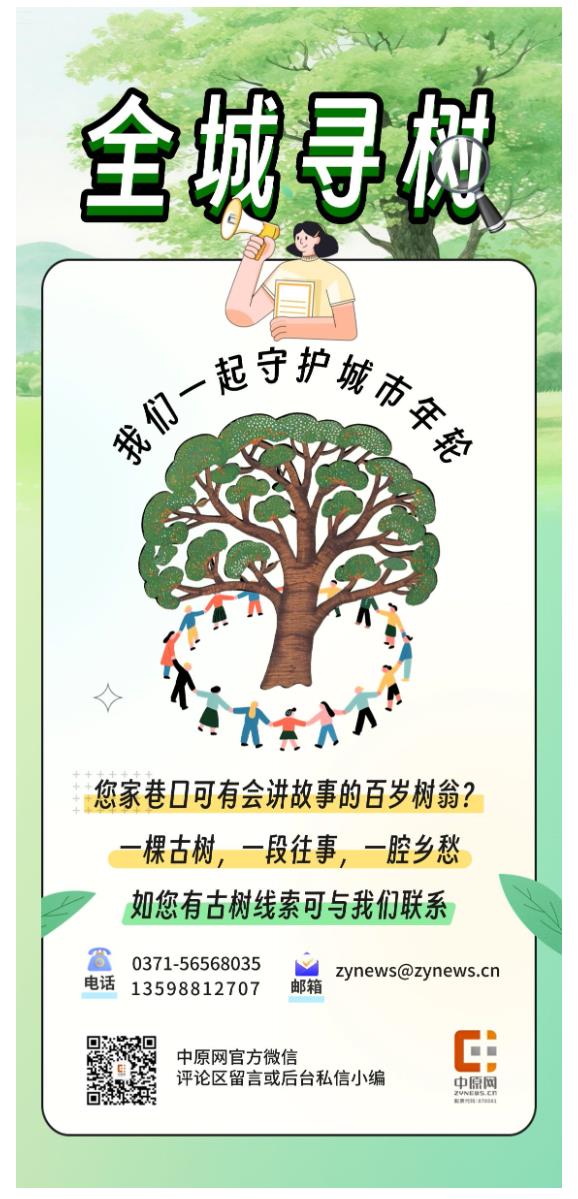 古樹(shù)長(zhǎng)歌 | “頭道胡同”里的國(guó)槐，它曾一瞥“夕陽(yáng)樓”的余暉