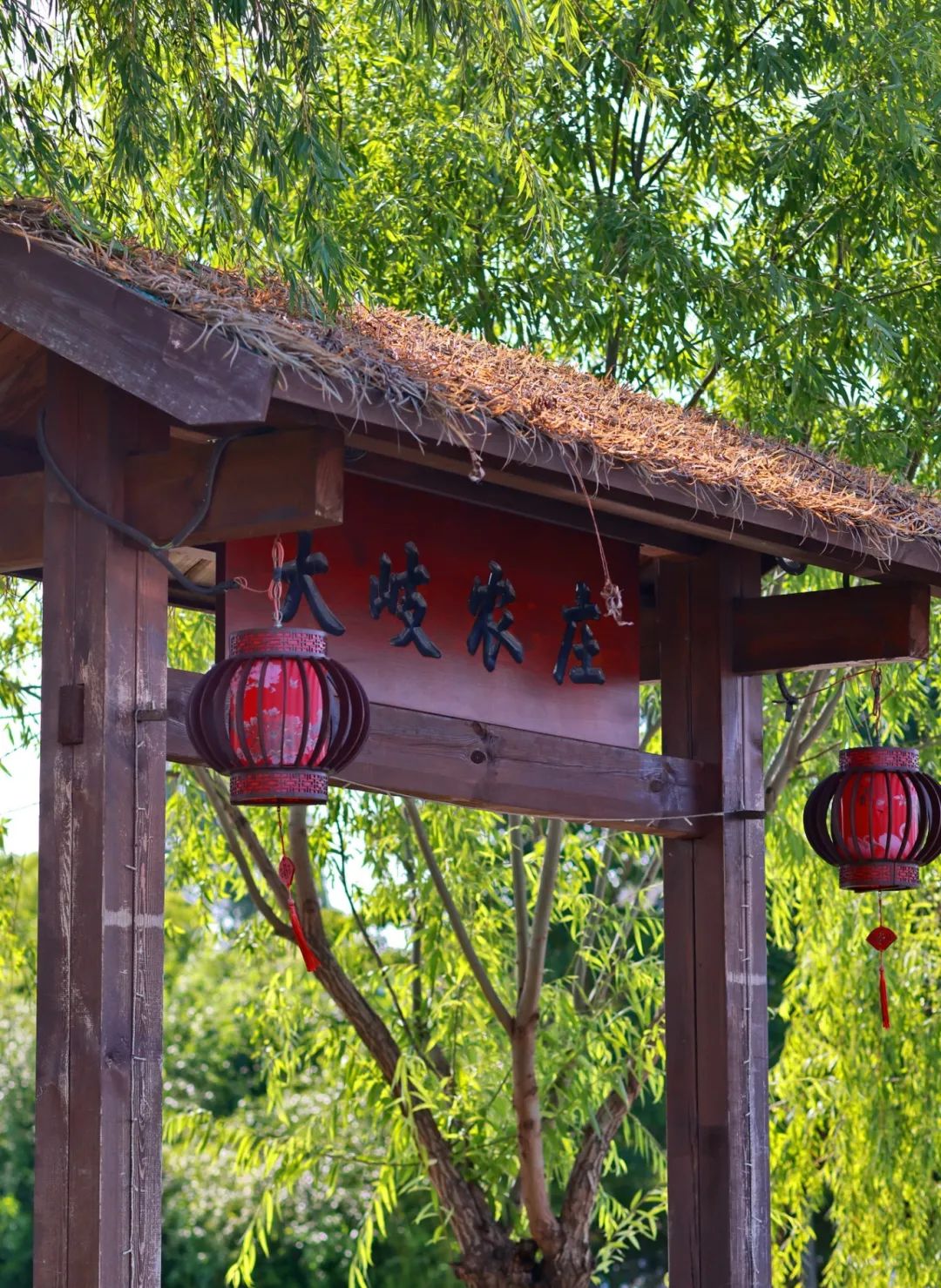 闖入夏日童話！上海近郊竟然有片23000㎡免費浪漫花?！? /></p>
<p data-mce-style=