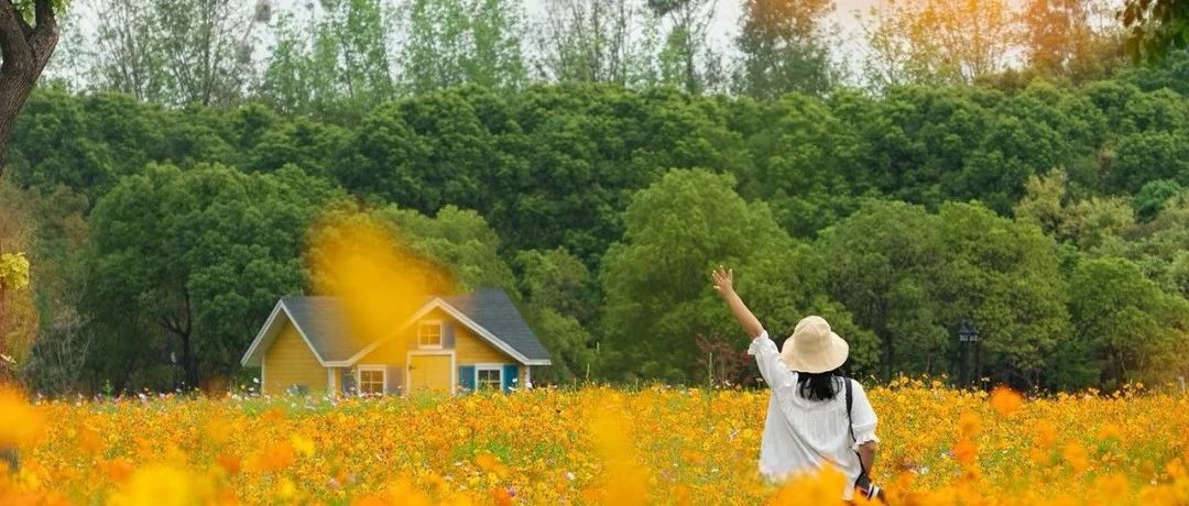 闖入夏日童話！上海近郊竟然有片23000㎡免費浪漫花?！? /></p>
<p style=