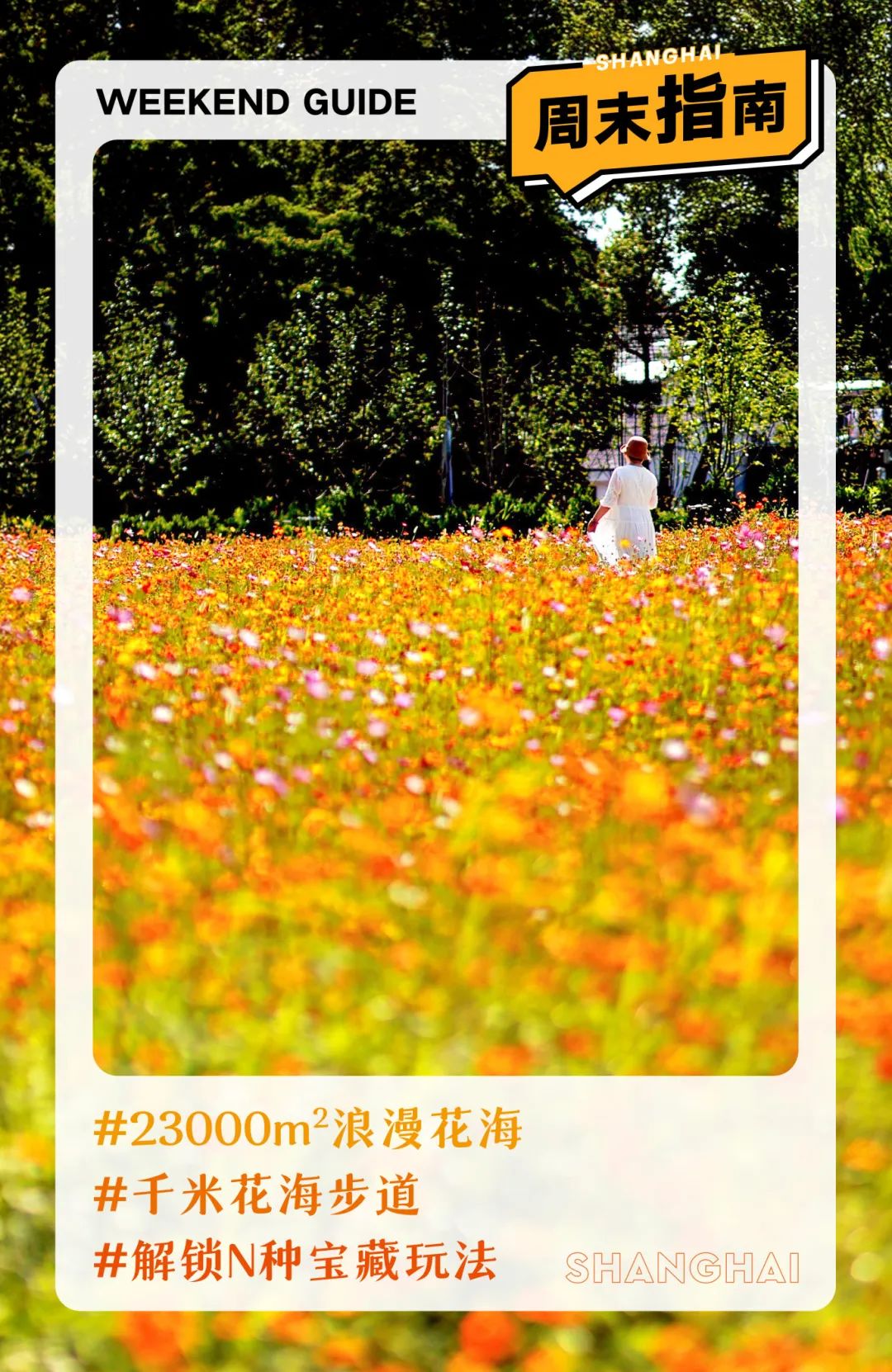 闖入夏日童話！上海近郊竟然有片23000㎡免費浪漫花?！? /></p>
<p style=