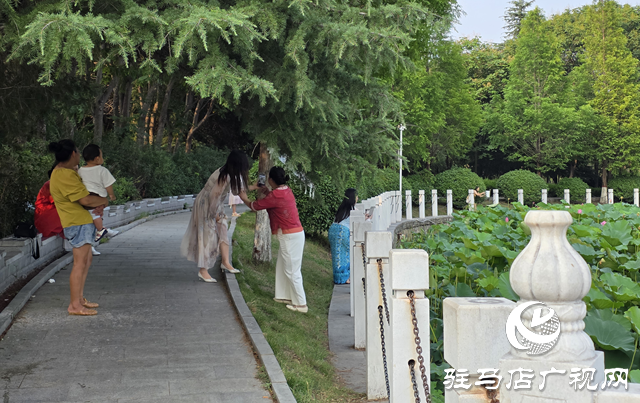避暑首選！練江湖 置地公園為駐馬店市民送清涼