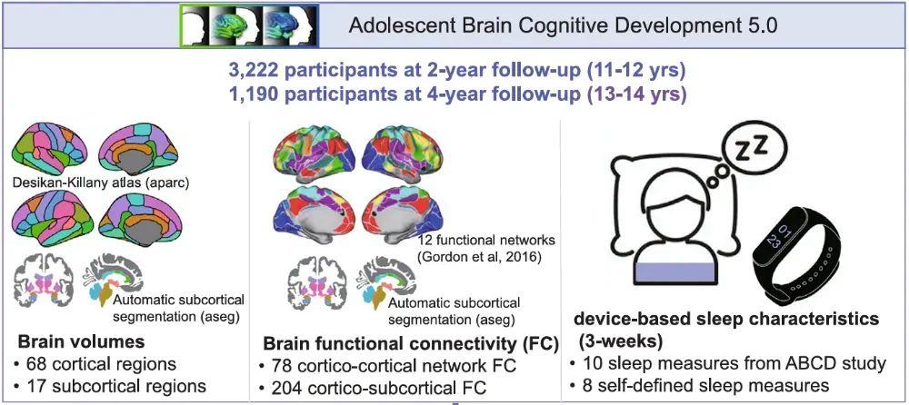少睡一刻鐘，腦子變“懵懂”？勸你早睡的科學依據來了