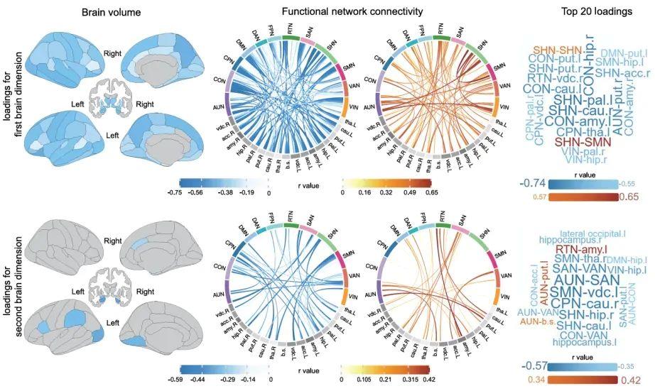 少睡一刻鐘，腦子變“懵懂”？勸你早睡的科學依據來了