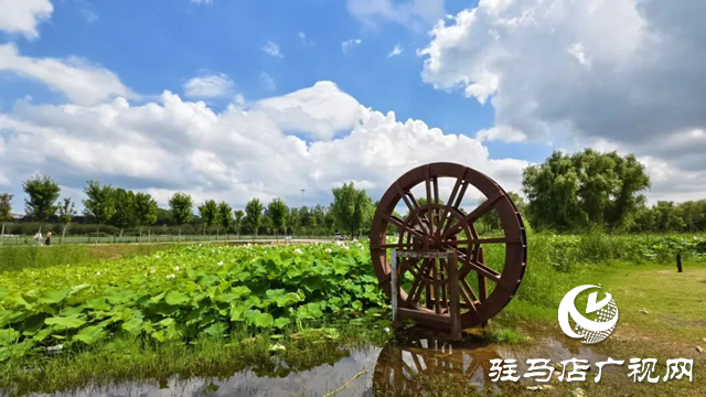 【大美天中】泌陽現(xiàn)“水晶天”！漢風(fēng)古韻與湖光云影同框