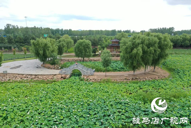 【大美天中】泌陽現(xiàn)“水晶天”！漢風(fēng)古韻與湖光云影同框