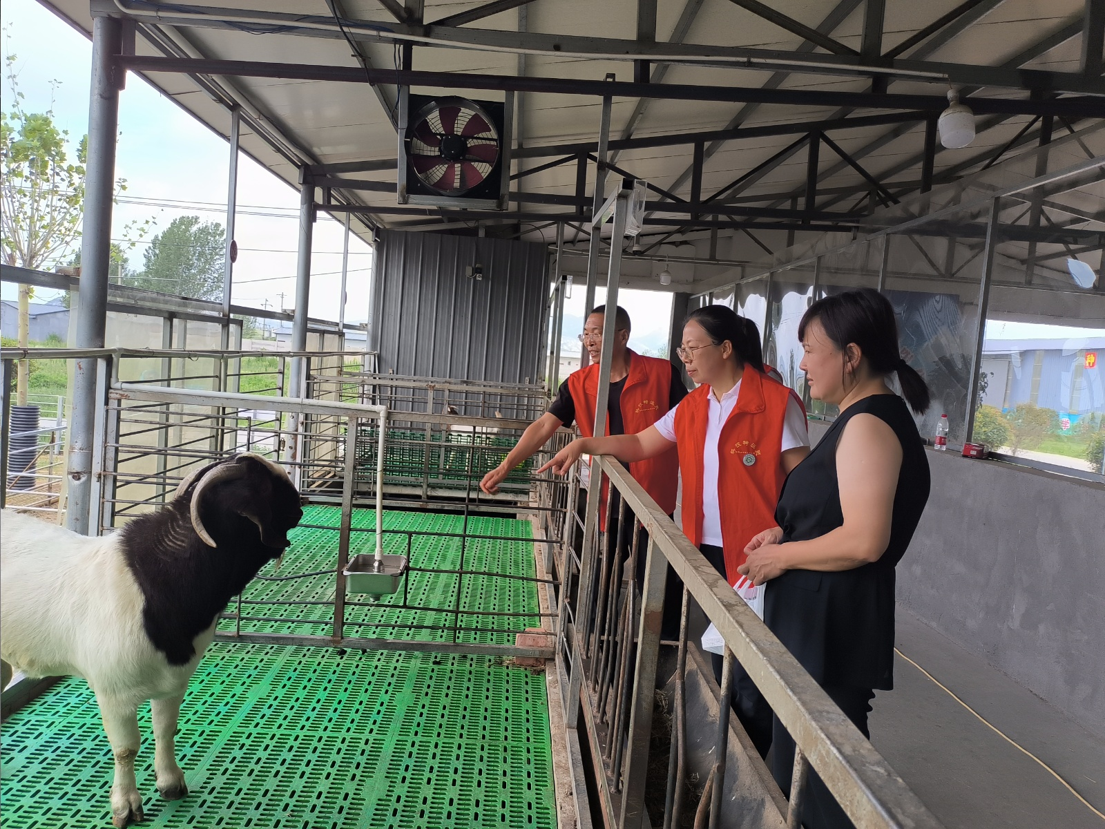 省科技特派員服務(wù)隊(duì)與市動(dòng)物疫病防控技術(shù)科技志愿服務(wù)隊(duì)深入一線護(hù)航夏季生產(chǎn)