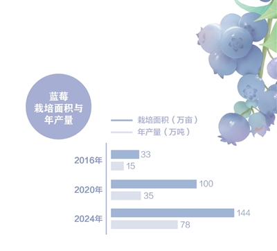 消費者“甜”了，果農(nóng)有賺頭嗎？