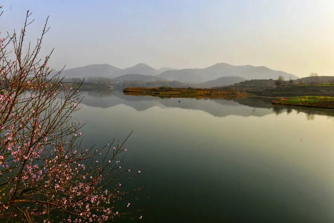 縣區(qū)動態(tài) | 來泌陽吧，來一場不一樣的生態(tài)游