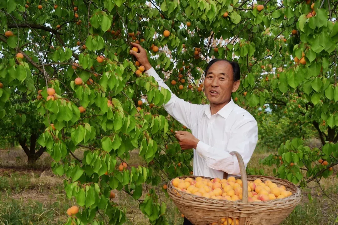 縣區(qū)動態(tài) | 來泌陽吧，來一場不一樣的生態(tài)游