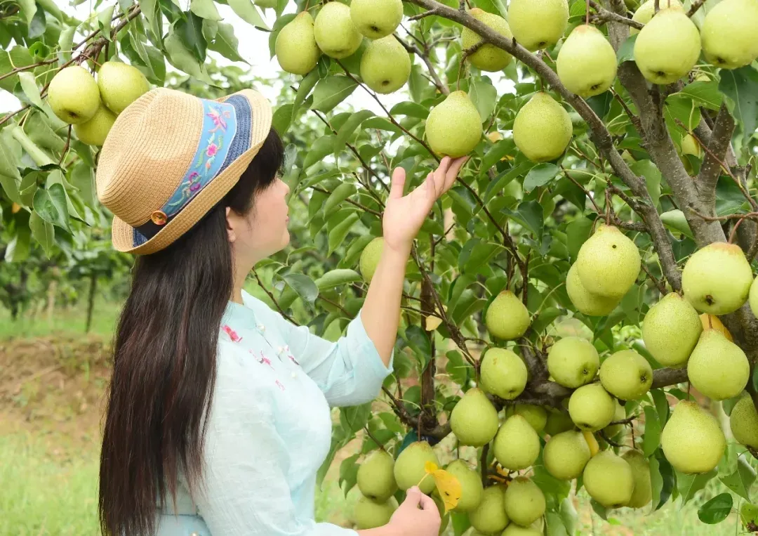 縣區(qū)動態(tài) | 來泌陽吧，來一場不一樣的生態(tài)游