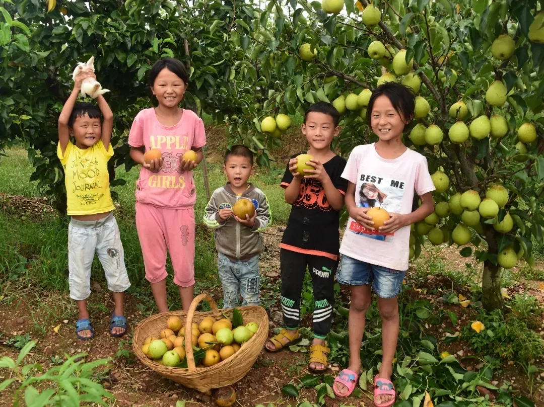 縣區(qū)動態(tài) | 來泌陽吧，來一場不一樣的生態(tài)游