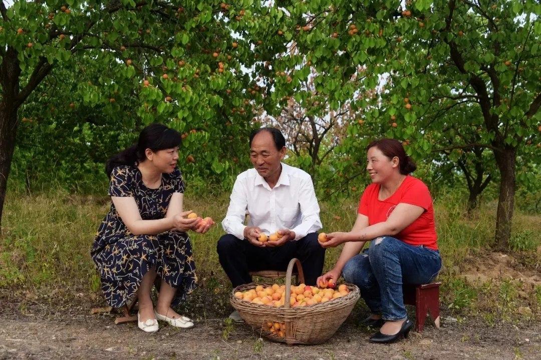 縣區(qū)動態(tài) | 來泌陽吧，來一場不一樣的生態(tài)游
