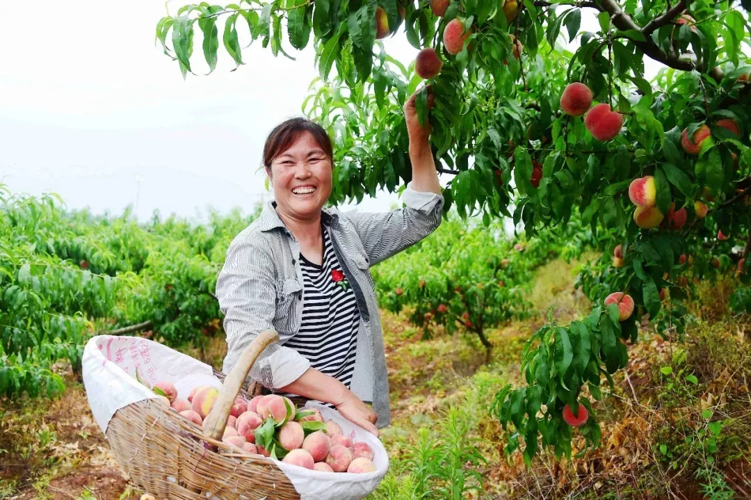縣區(qū)動態(tài) | 來泌陽吧，來一場不一樣的生態(tài)游