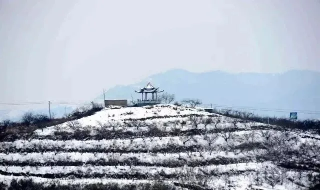 縣區(qū)動態(tài) | 來泌陽吧，來一場不一樣的生態(tài)游