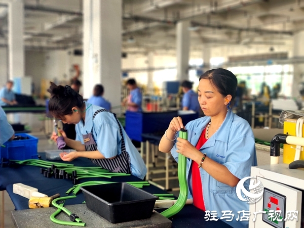 平輿縣“三園”引擎：三鏈共舞，托起強(qiáng)縣富民新圖景