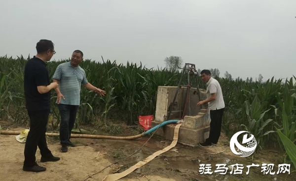  西平縣農(nóng)業(yè)農(nóng)村局多措并舉抗旱保秋助豐收