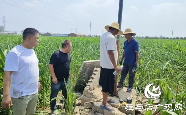  西平縣農(nóng)業(yè)農(nóng)村局多措并舉抗旱保秋助豐收