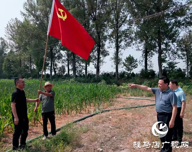  西平縣委書記侯公濤深入部分鄉(xiāng)鎮(zhèn)一線調研抗旱保秋工作