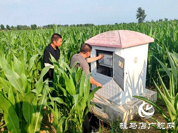 平輿縣楊埠鎮(zhèn)：抗旱保秋“水”到渠成 秋糧豐收根基牢筑