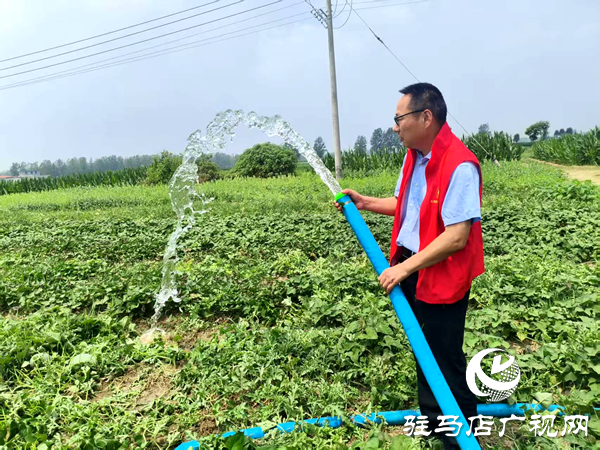 平輿縣萬(wàn)金店鎮(zhèn)：多舉措抗旱保秋 筑牢豐收防線