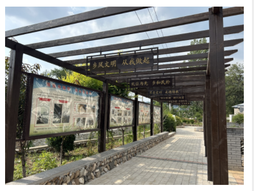 月光下的新故事：將軍山村以“土”為媒走好振興路｜鄉(xiāng)村振興看河南
