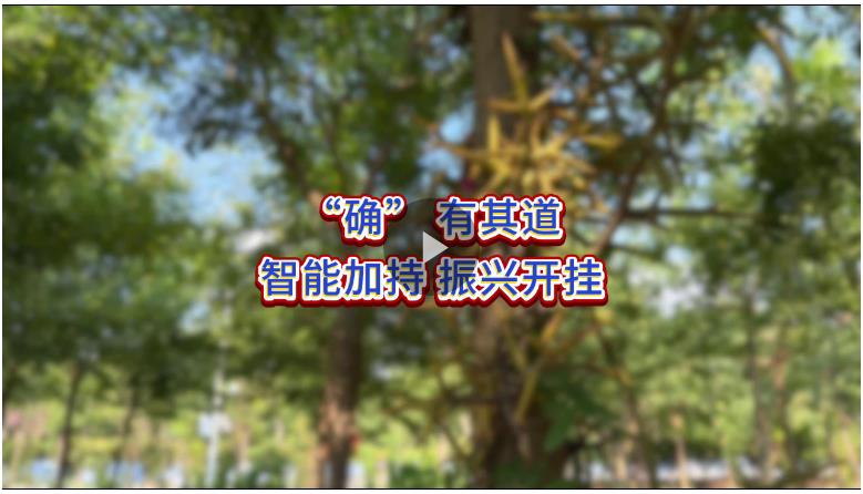 “確”有其道 河南以智能為筆繪就振興新圖景