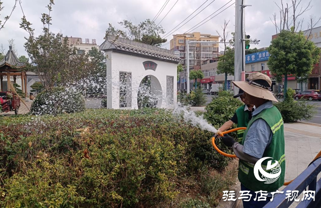 驛城區(qū)：抗旱澆水不停歇 精灌細(xì)護(hù)保綠忙