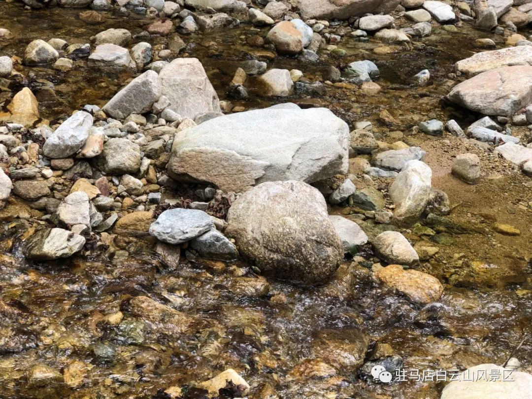 躲進(jìn)小溪的夏天，娃追著小魚，我追著娃~