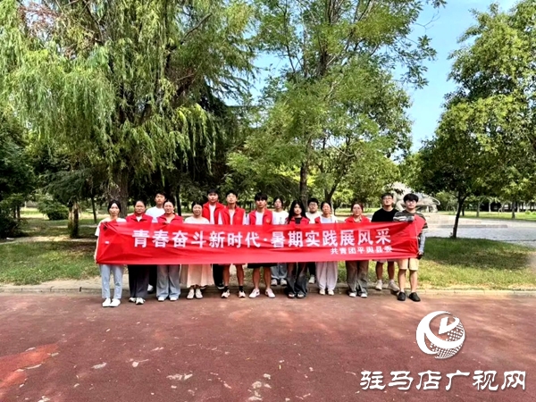 共青團(tuán)平輿縣委“青春奮斗新時(shí)代·暑期實(shí)踐展風(fēng)采”系列活動(dòng)（一）