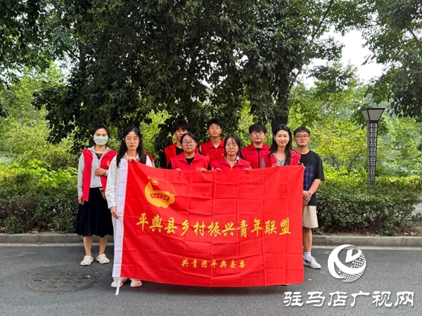 共青團(tuán)平輿縣委“青春奮斗新時(shí)代·暑期實(shí)踐展風(fēng)采”系列活動(dòng)（一）