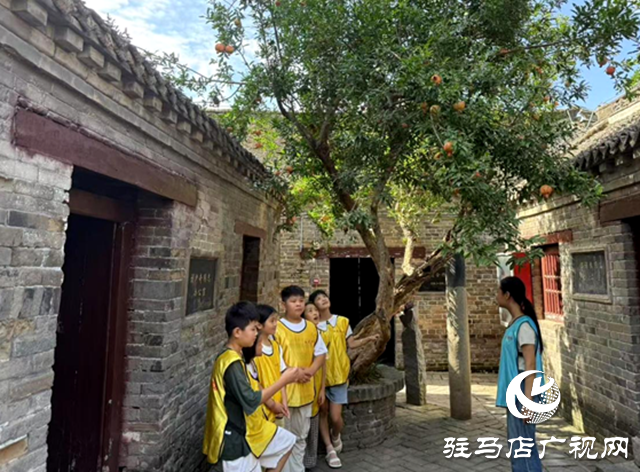 確山縣婦聯(lián)開展2025年暑期兒童關(guān)愛服務(wù)活動(dòng)