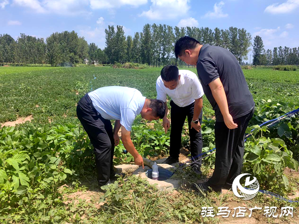 平輿縣李屯鎮(zhèn)：一線抗旱保秋糧 保水解憂穩(wěn)民生