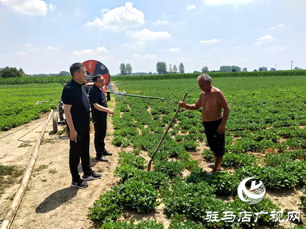 平輿縣射橋鎮(zhèn)：繃緊“抗旱弦” 守住“秋糧倉”全鎮(zhèn)上下齊發(fā)力筑牢豐收防線